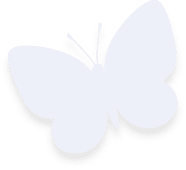 Team Butterfly1