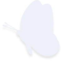 Team Butterfly3