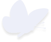 Team Butterfly4